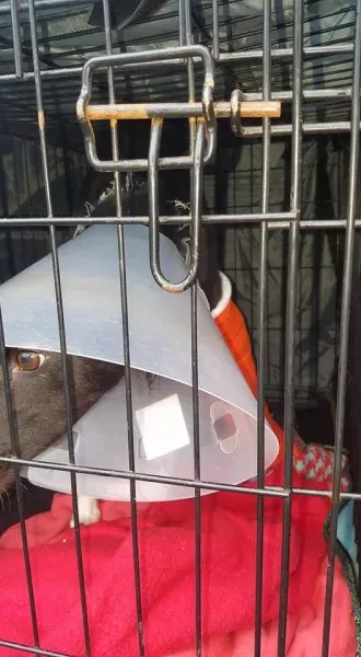 22728897 1887079681309722 5096713395436167249 n 1