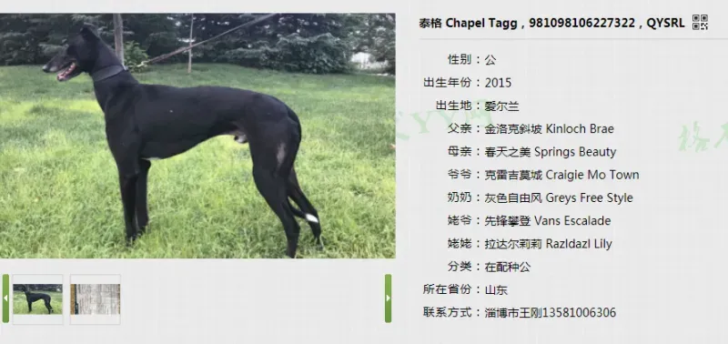 22729121 1478523132255817 1755356148896116946 n 1