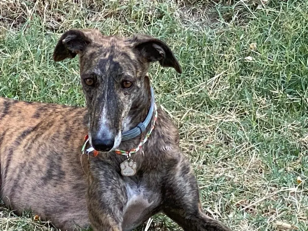 228d8b40 791c 47e9 8ea7 e59895a551ea