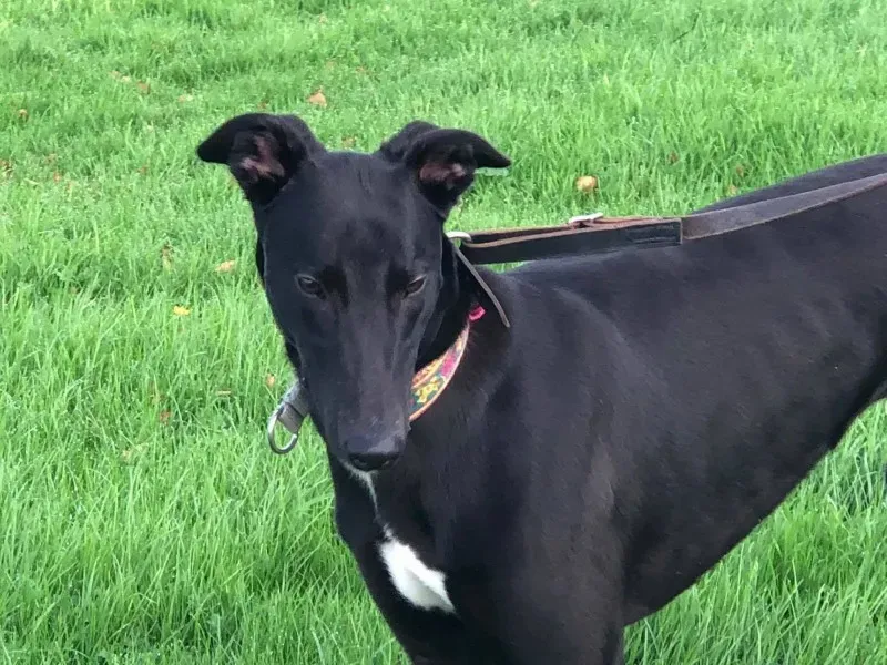 23134911 10214547119301374 1084508132 o