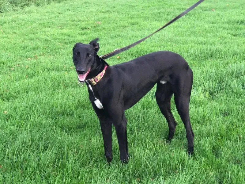 23134929 10214547117941340 1767491562 o