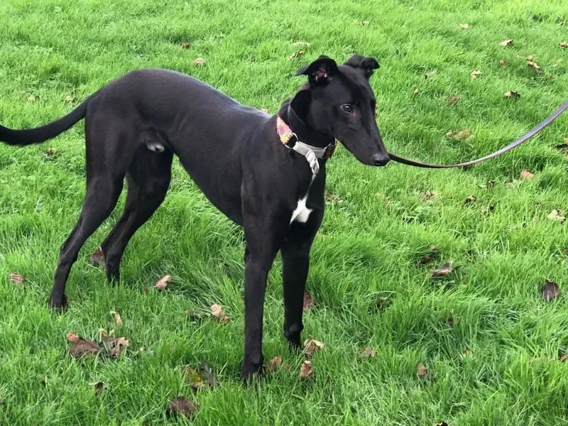 23135005 10214547114981266 600836840 o