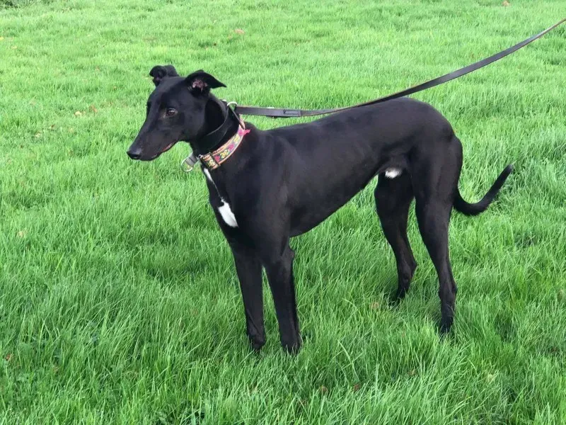 23135133 10214547118621357 730832095 o