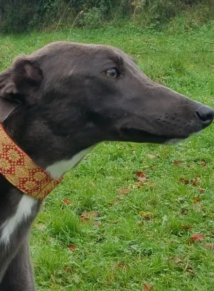 23140492 10213026799198231 1331565424 n