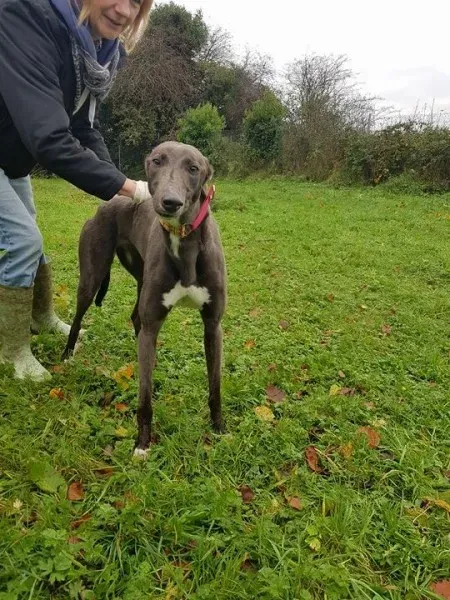 23140516 10213026800598266 1836339188 n