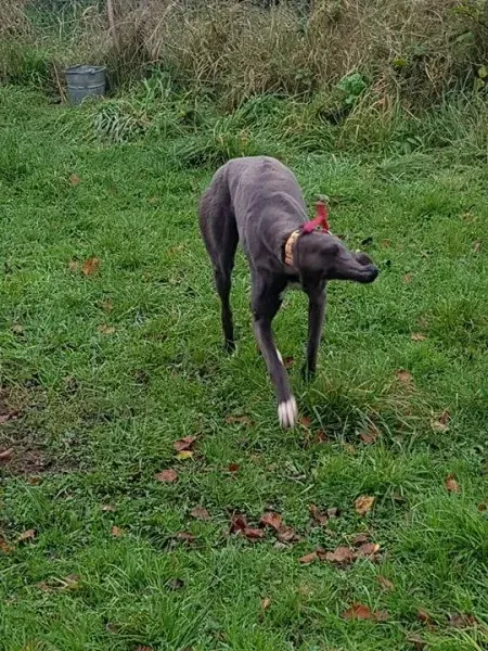 23146220 10213026800958275 831443322 n