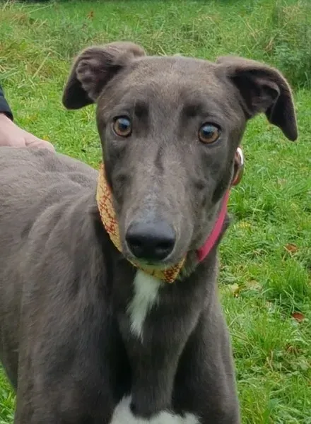 23146527 10213026798758220 1920302325 n