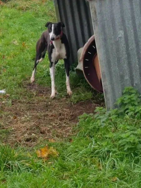 23157821 10213026755557140 1247912480 o