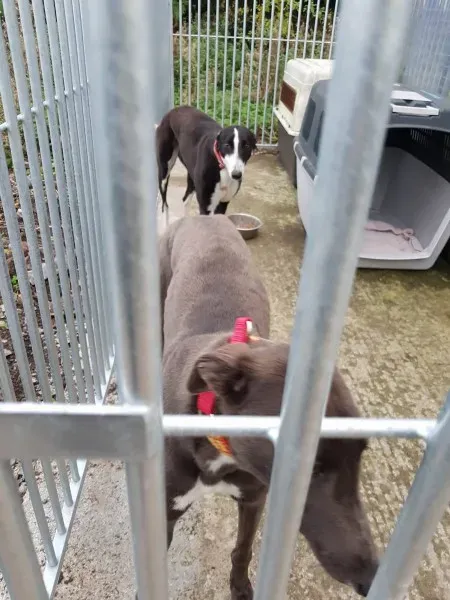 23157896 10213021760992279 1413583083 o