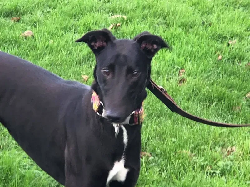 23158007 10214547116661308 2099386162 o