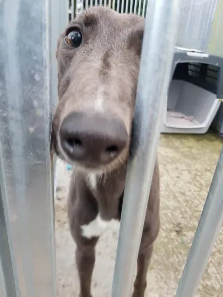 23158088 10213021763472341 490409170 o