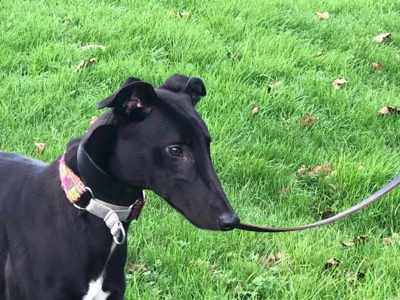 23158188 10214547115421277 1646007814 o