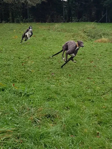 23158402 10213026757357185 713806088 o