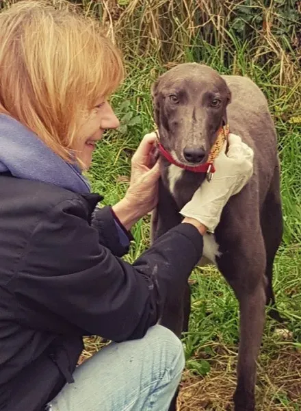 23163709 10213026802758320 1314549210 n