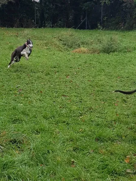 23191572 10213026757277183 100932575 o