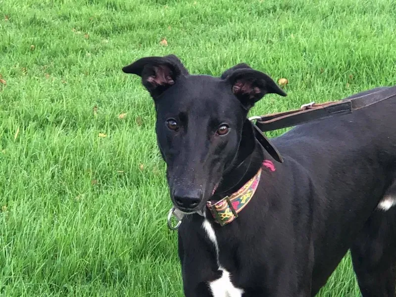 23191777 10214547120061393 313594616 o