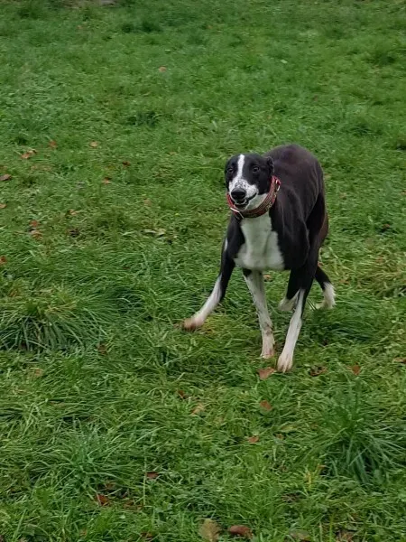 23191843 10213026756157155 1116369454 o