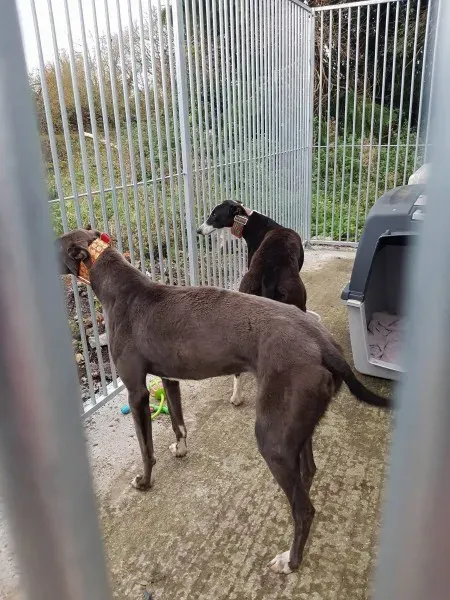 23191864 10213021763792349 1602606319 o