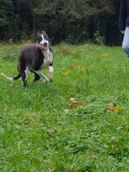 23191890 10213026755357135 22274071 o