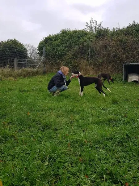 23191960 10213026755077128 274601815 o