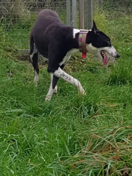 23191962 10213026755237132 1677452071 o