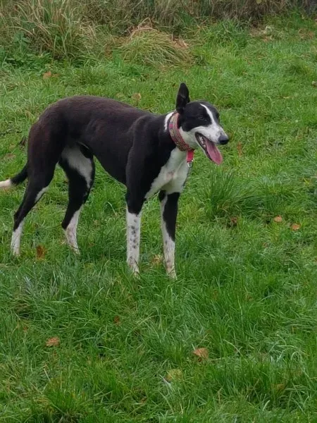 23191969 10213026755317134 1954685804 o