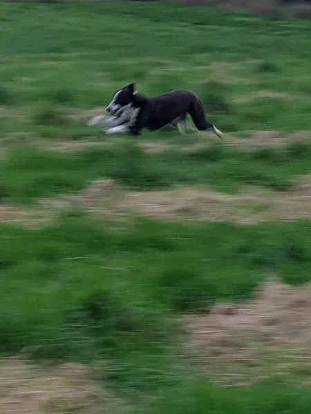 23192167 10213028998853221 1556019489 o