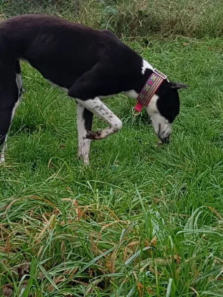 23192269 10213026755157130 1484481563 o