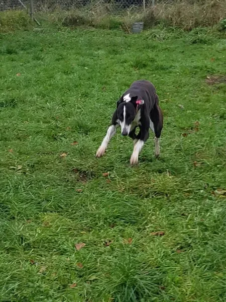 23192382 10213026756197156 1190974349 o