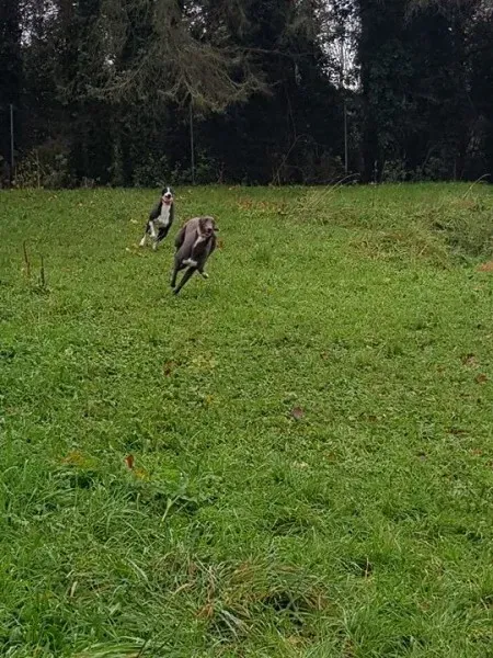 23201904 10213026802238307 159243343 n