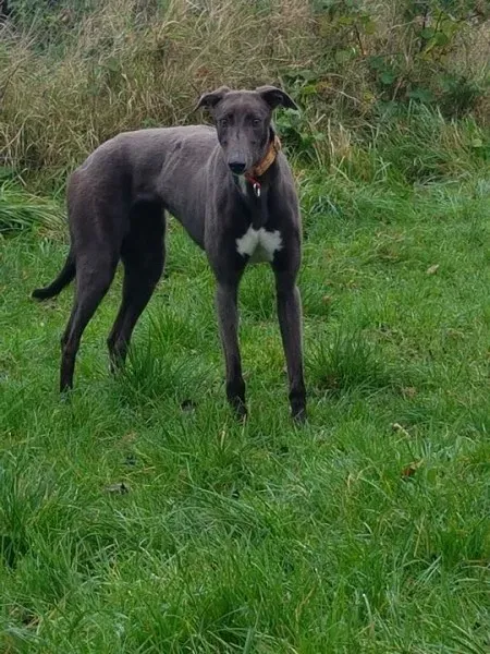 23201931 10213026798718219 1209972283 n