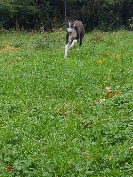 23223006 10213026755477138 935658315 o