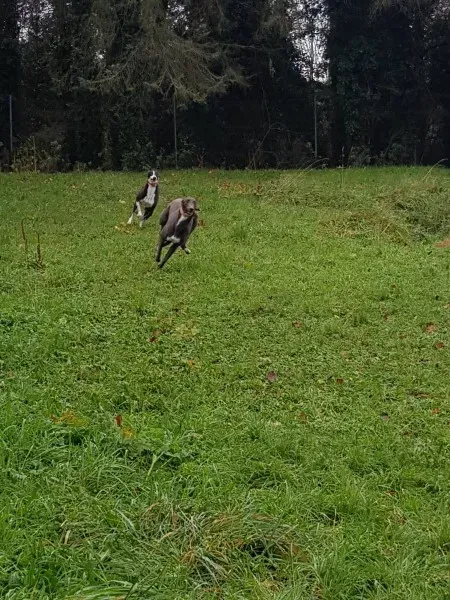 23224588 10213026802238307 159243343 o