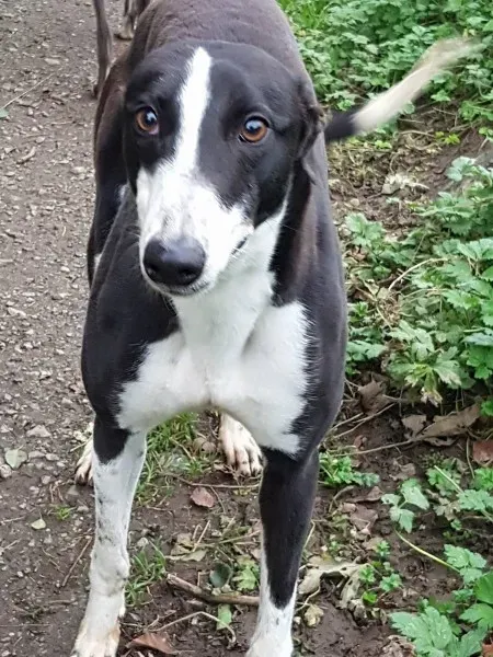 23224665 10213029741671791 891294876 o