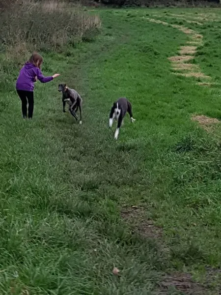 23224732 10213028998973224 763899316 o