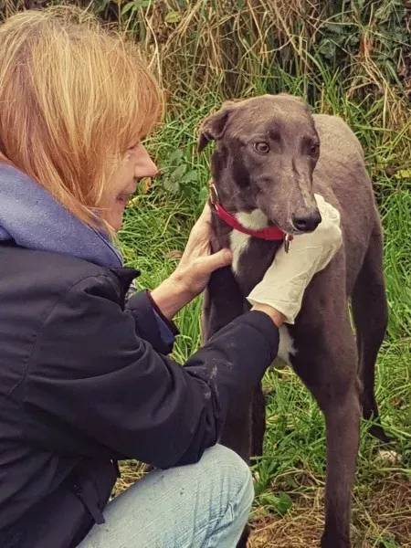 23261794 10213026797958200 1380969653 o