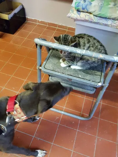 23335899 10213061154217085 1386671018 o