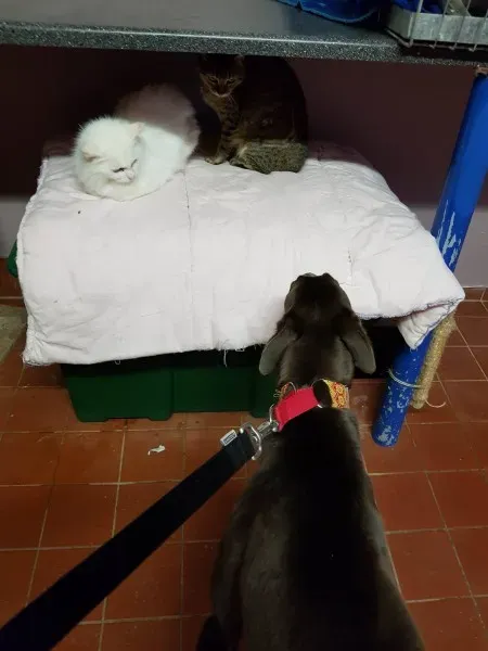 23335920 10213061152537043 1984149980 o