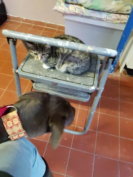 23335975 10213061152577044 173148142 o