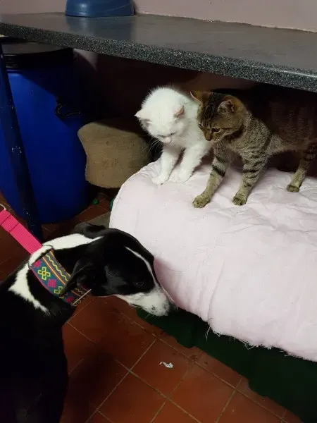 23336319 10213061156377139 751343854 o