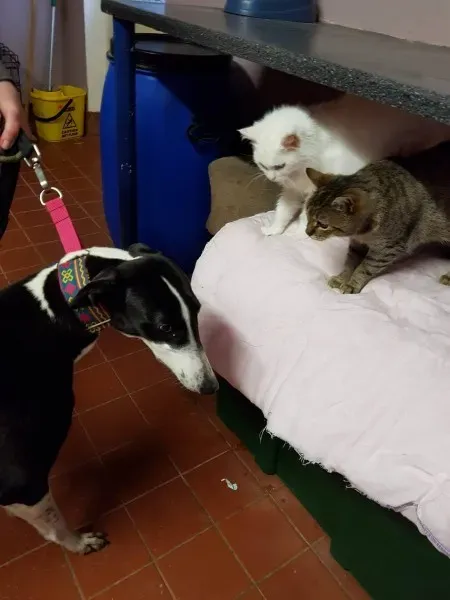 23336384 10213061156337138 116553529 o