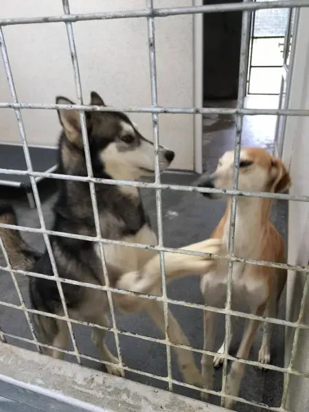 23584037 10154789011930194 1546386214 o