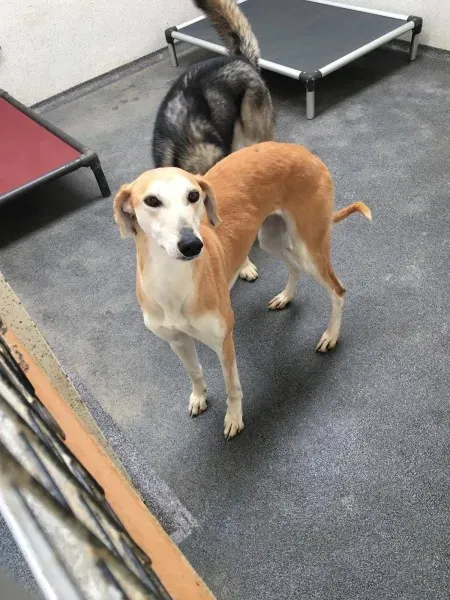 23584120 10154789011905194 290415920 o