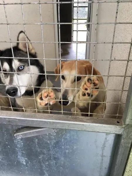 23584173 10154789012015194 1448871579 o