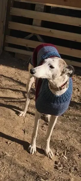 23715067 10159557329275006 746088701 o 1