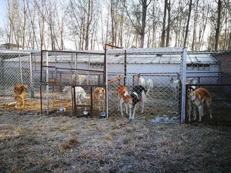 23722723 496250630761323 949418307762829148 n