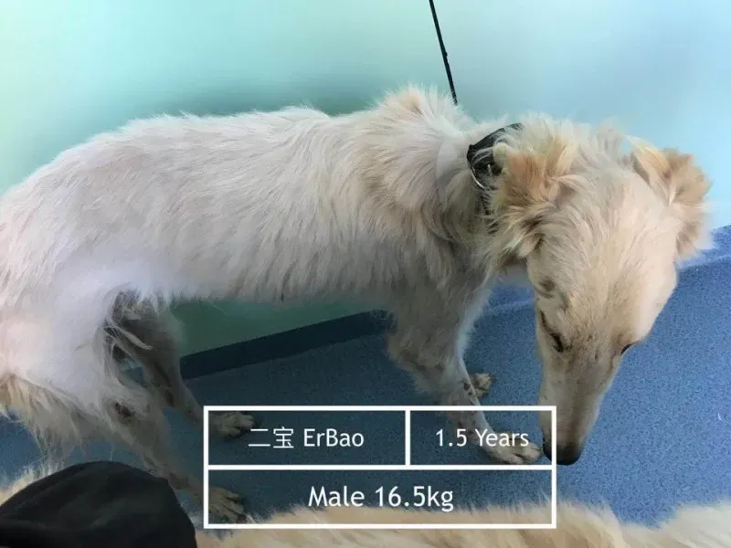 23722765 496250690761317 8633491435233042316 n