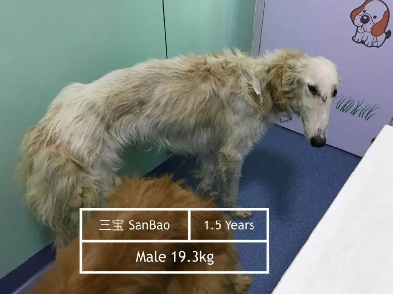 23754721 496250687427984 3106358978932858711 n