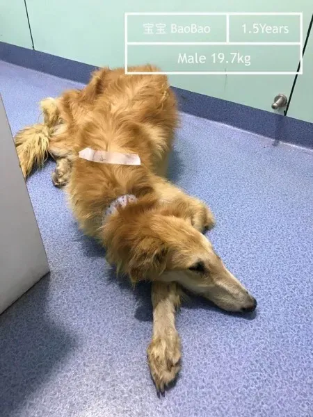 23755202 496250644094655 76039378085629515 n