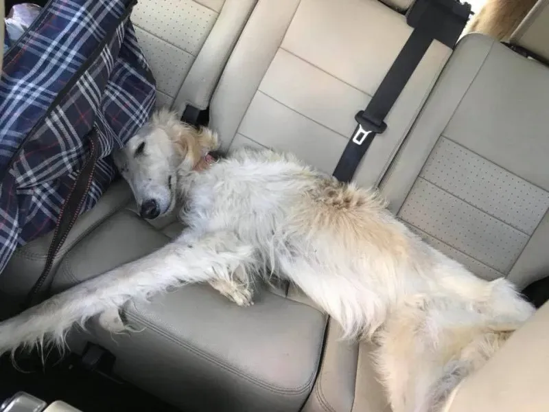 23755616 496250760761310 2333662145933025553 n